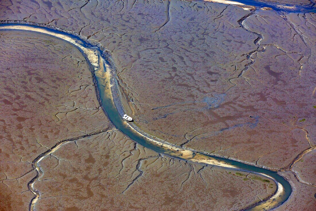 France,Gironde,Bassin d'Arcachon at low tide seen from the sky