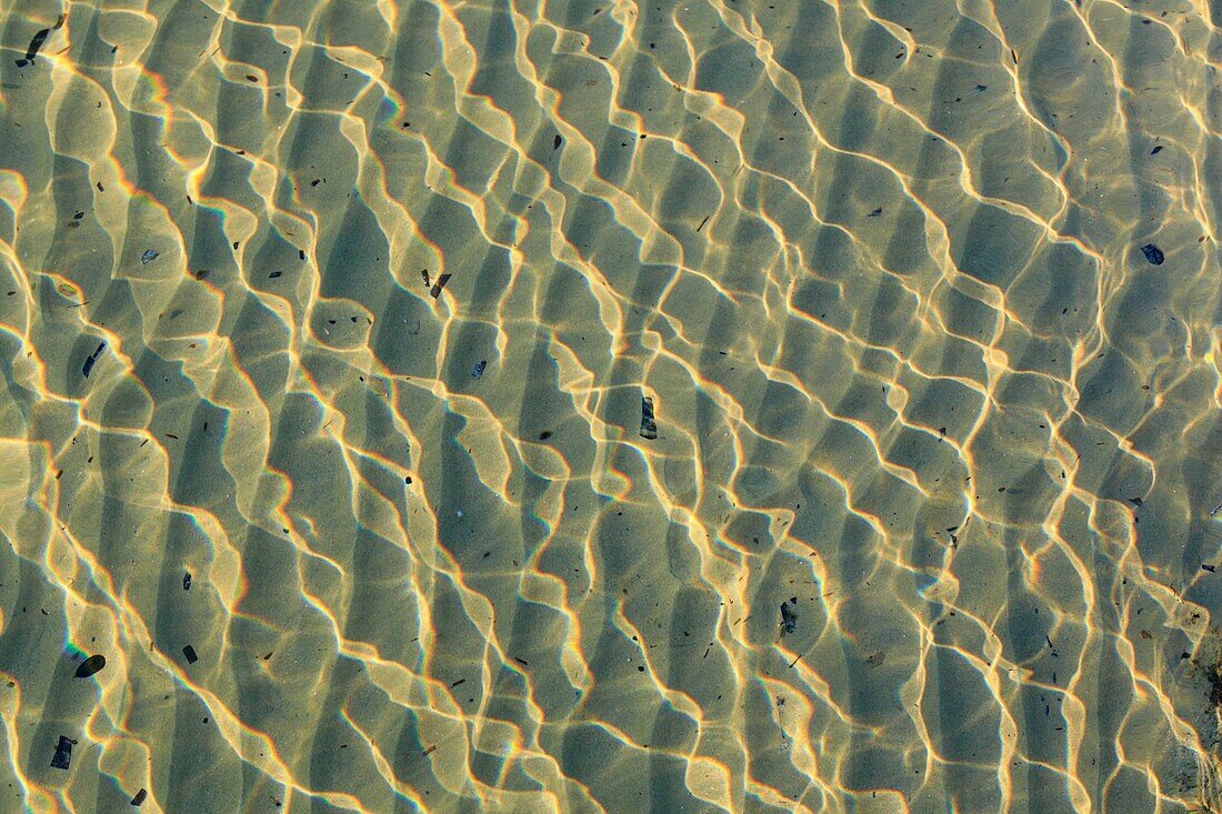 France,Var,La Londe Les Maures,beach of Argentiere