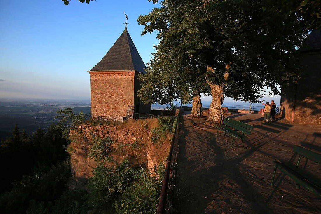 Frankreich,Bas Rhin,Ottrott,Mont Saint Odile,Der Mont Sainte Odile ist ein Berg in den Vogesen, der 764 Meter über dem Meeresspiegel liegt und von der Abtei Hohenbourg überragt wird, einem Kloster, das die Ebene des Elsass überragt