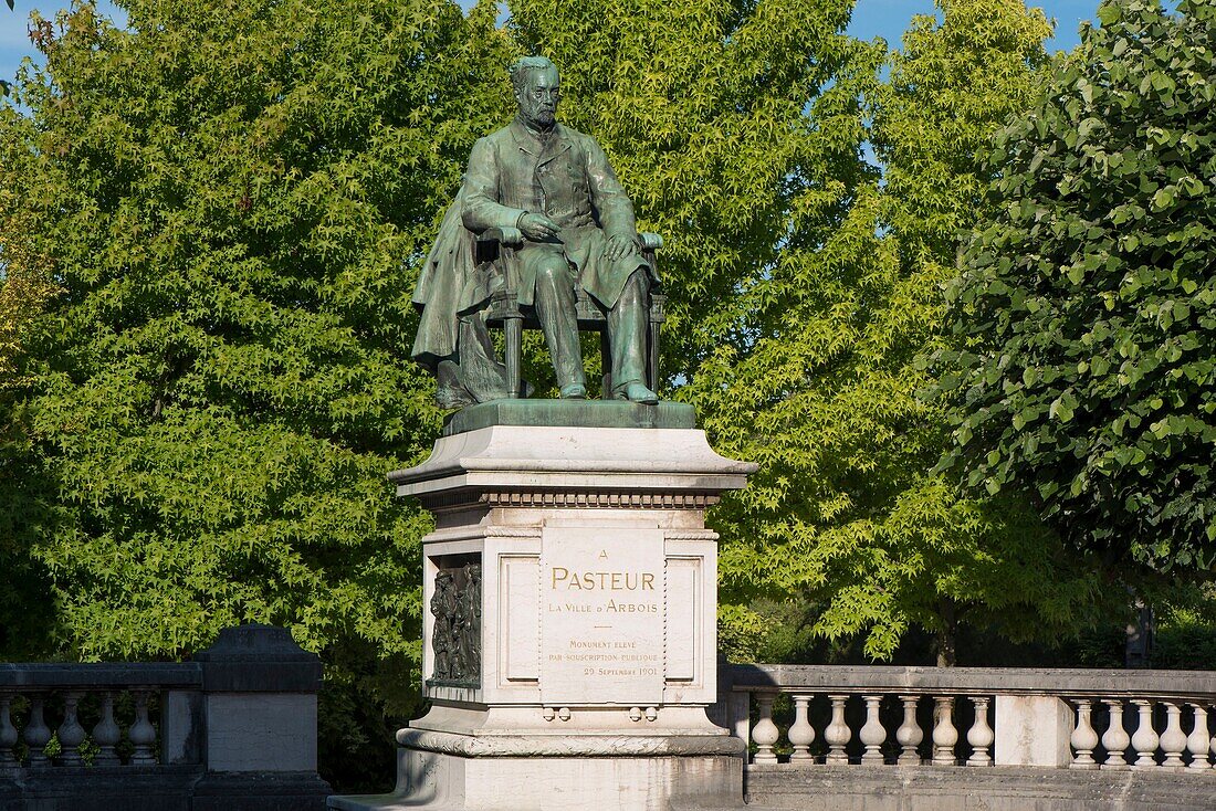 France,Jura,Arbois,the bronze statue of Louis Pasteur sitting near the old collegiate of the sculptor Horace Daillion in 1901