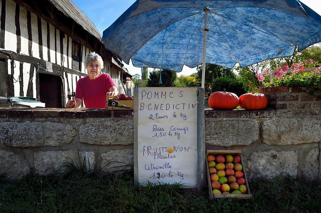 France,Seine-Maritime,Norman Seine River Meanders Regional Nature Park,Bardouville,selling apples live on the Simone Vauclin farm