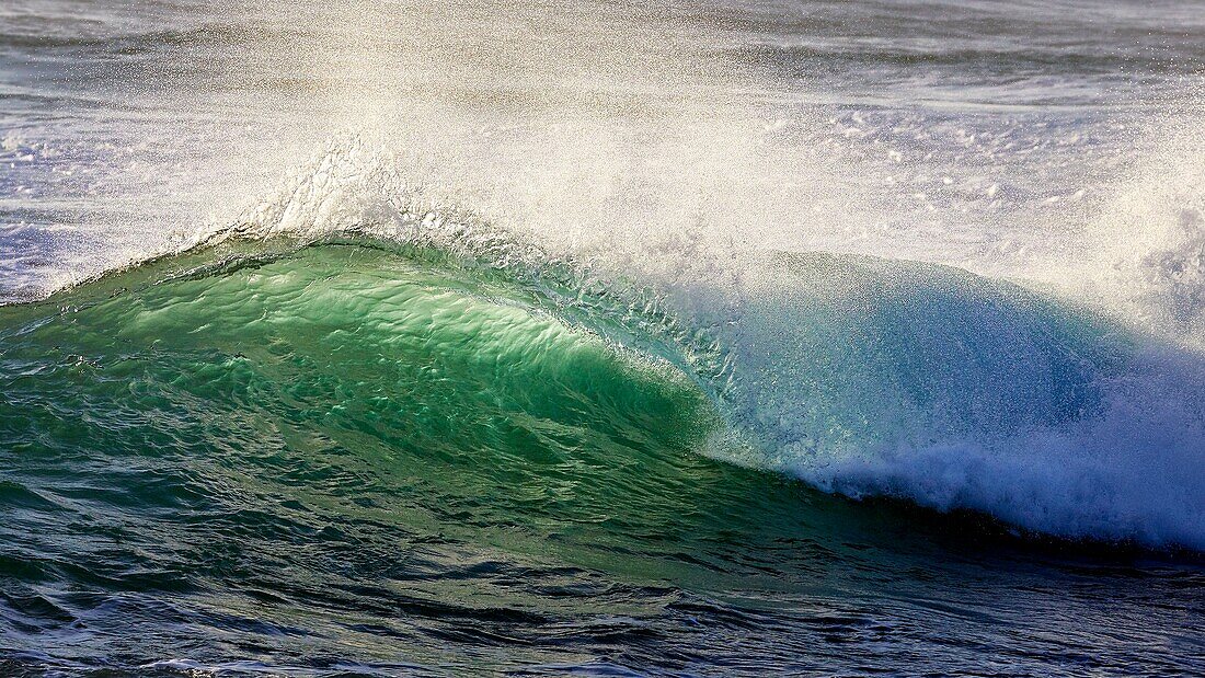 France,Finistere,Iroise Sea,Iles du Ponant,Parc Naturel Regional d'Armorique (Armorica Regional Natural Park),Ile de Sein,labelled Les Plus Beaux de France (The Most Beautiful Village of France),wave on the chaussée de Sein in the west of the island