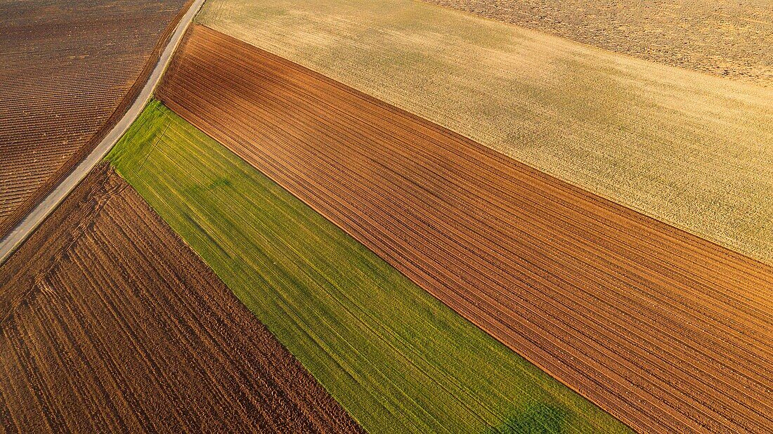 France,Alpes de Haute Provence,Verdon Regional Nature Park,Valensole Plateau,Valensole (aerial view)