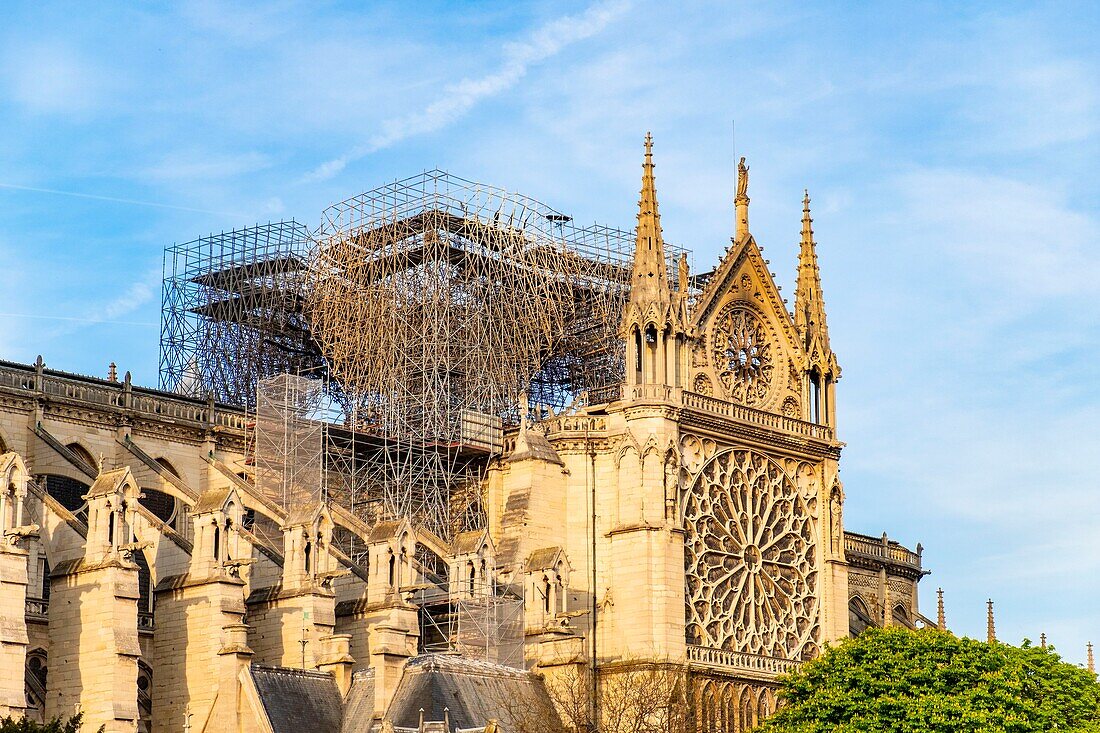 Frankreich,Paris,von der UNESCO zum Weltkulturerbe erklärtes Gebiet,Ile de la Cite,Kathedrale Notre Dame nach dem Brand vom 15. April 2019