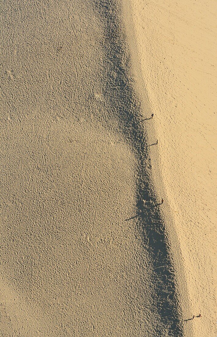 France,Gironde,Bassin d'Arcachon,La Teste de Buch,the Dune du Pyla (the Great Dune of Pyla) and Banc d'Arguin nature reserve