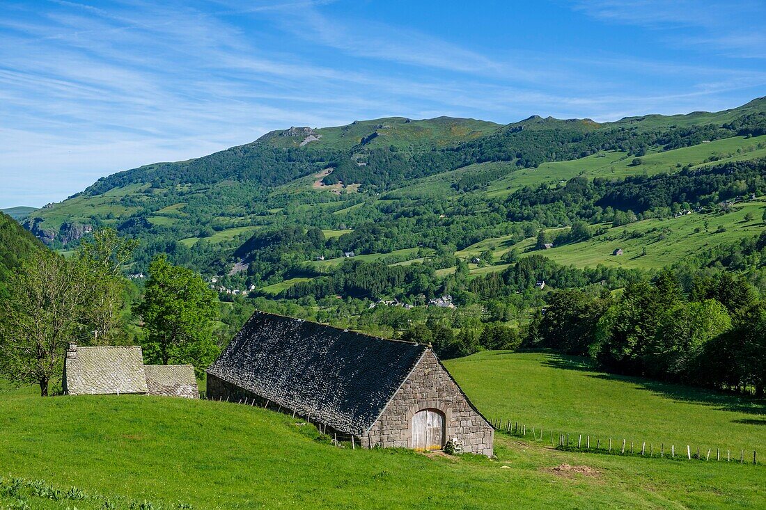 France,Cantal,Regional Natural Park of the Auvergne Volcanoes,monts du Cantal,Cantal mounts,Mars valley