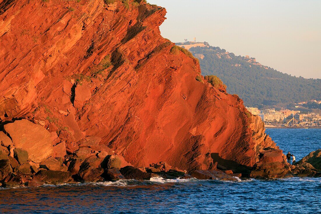 France,Var,Sanary sur Mer,tip of Bau Rouge,Sanary Bay