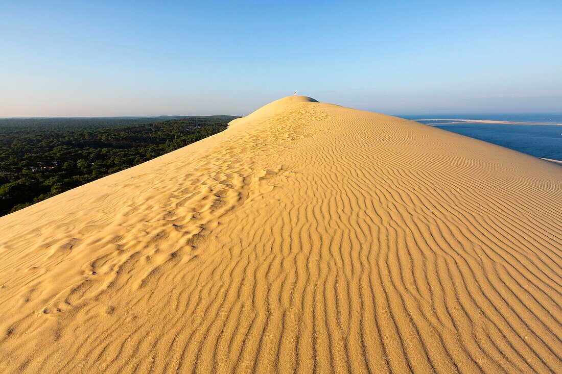 France,Gironde,Bassin d'Arcachon,La Teste de Buch,Pyla sur mer,Dune du Pilat