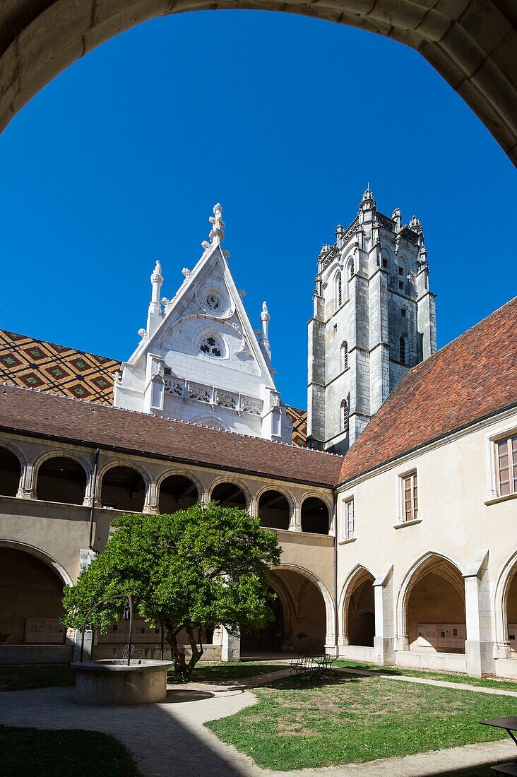 France,Ain,Bourg en Bresse,Royal Monastery of Brou restored in 2018,the church of Saint Nicolas de Tolentino seen from the first cloister said Hosts