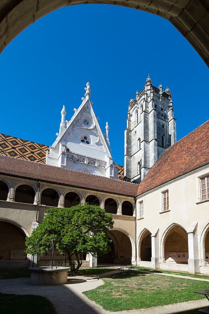 Frankreich,Ain,Bourg en Bresse,Königliches Kloster von Brou, restauriert im Jahr 2018,die Kirche Saint Nicolas de Tolentino vom ersten Kreuzgang aus gesehen, sagte Hostien