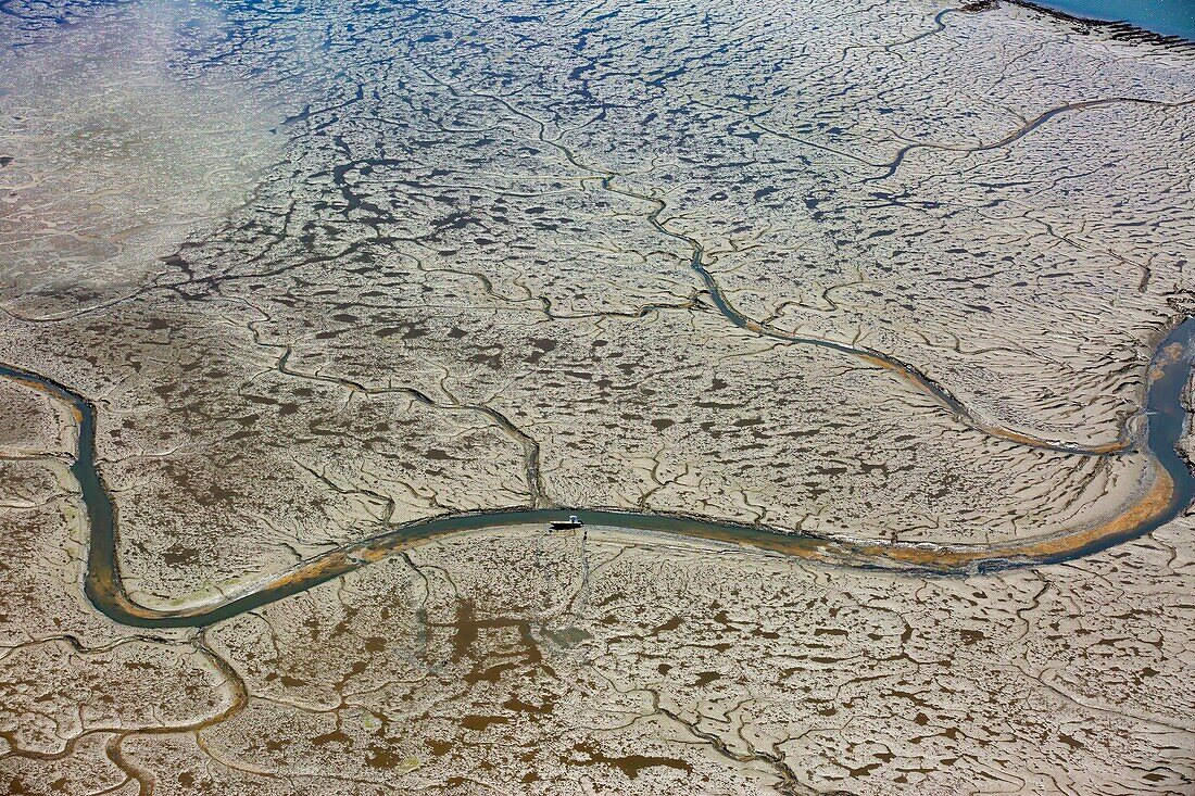 France,Gironde,Bassin d'Arcachon at low tide seen from the sky