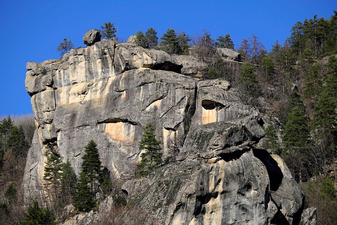 Frankreich,Alpes de Haute Provence,Annot,Entdeckungstour des Gres d Annot,Felsen