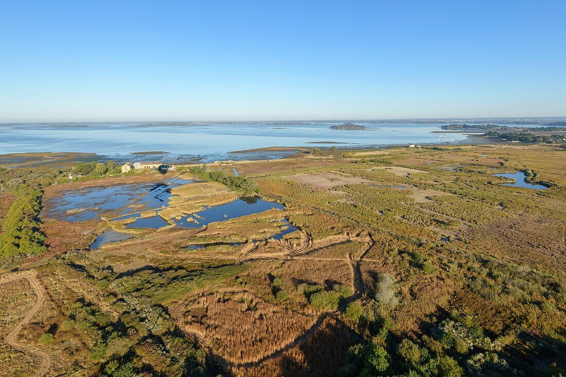 France,Morbihan,Sarzeau,aerial view of the Golfe of Morbihan,Saint-Colombier marshes