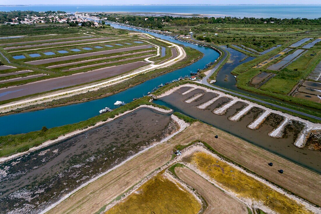 France,Charente-Maritime,Oleron island,salt marsh between Saint-Pierre d'Oléron and Boyardville (aerial view)