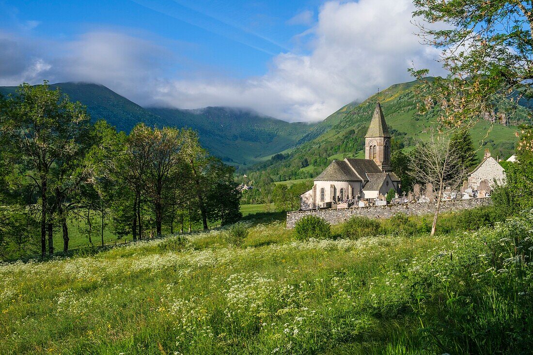 France,Cantal,Regional Natural Park of the Auvergne Volcanoes,monts du Cantal (Cantal mounts),Santoire valley,Lavigerie village