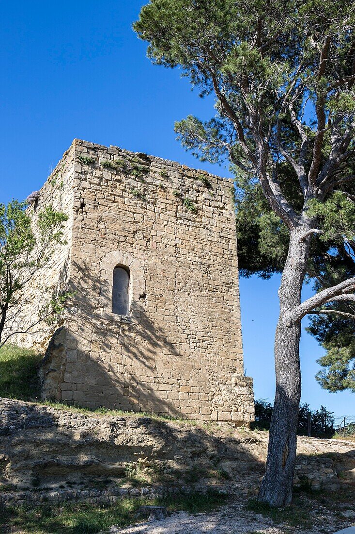 France,Vaucluse,Regional Natural Park of Luberon,Cucuron,Donjon Saint Michel only vestige of the medieval castle