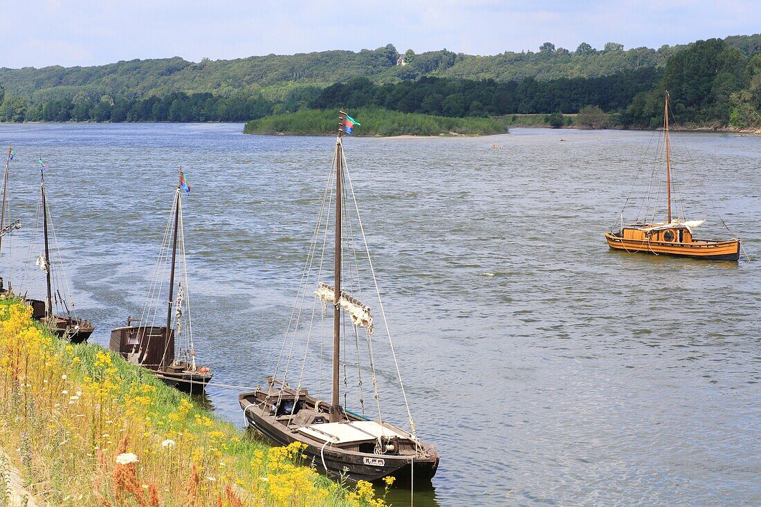 France,Indre et Loire,Loire Valley listed as World Heritage by UNESCO,Brehemont,traditional flat bottomed boats on the Loire