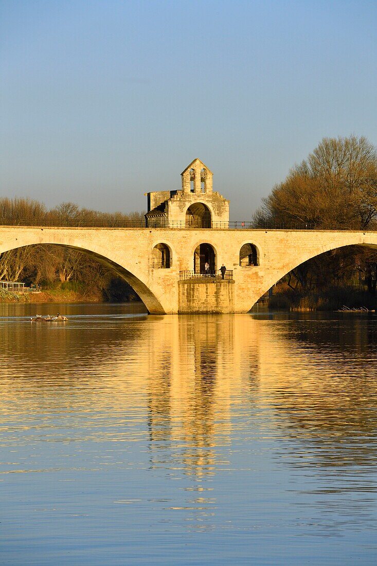 France,Vaucluse,Avignon,Saint Benezet bridge on the Rhone dating from the 12th century listed UNESCO World Heritage