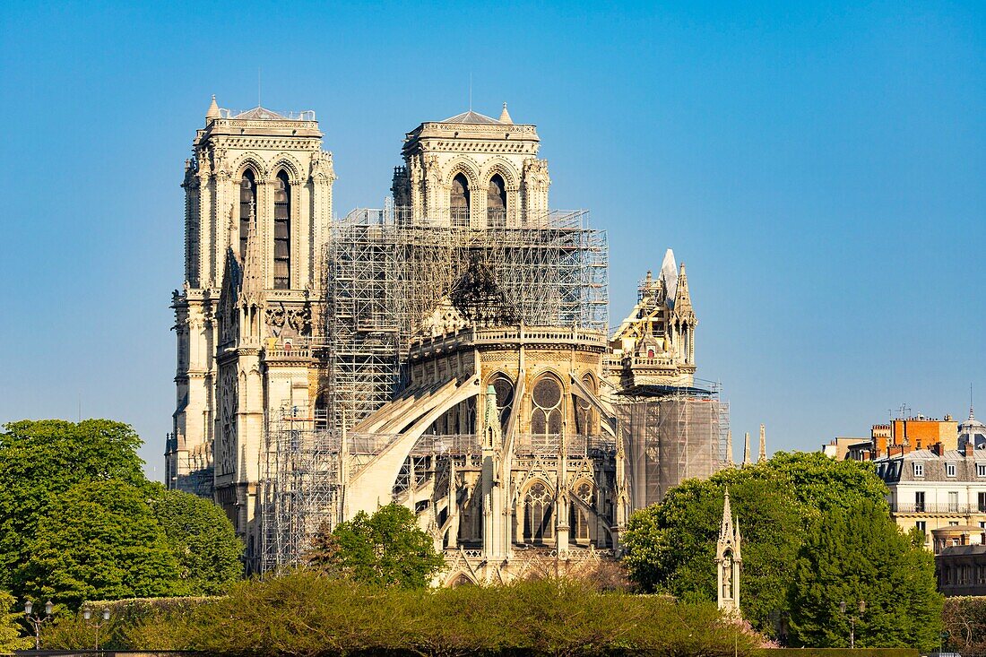 France,Paris,area listed as World heritage by UNESCO,Ile de la Cite,Notre Dame Cathedral,Scaffolding