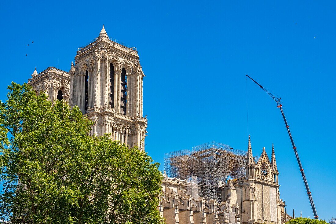 Frankreich,Paris,Weltkulturerbe der UNESCO,Notre Dame de Paris,Konsolidierungsarbeiten nach dem Brand des Daches