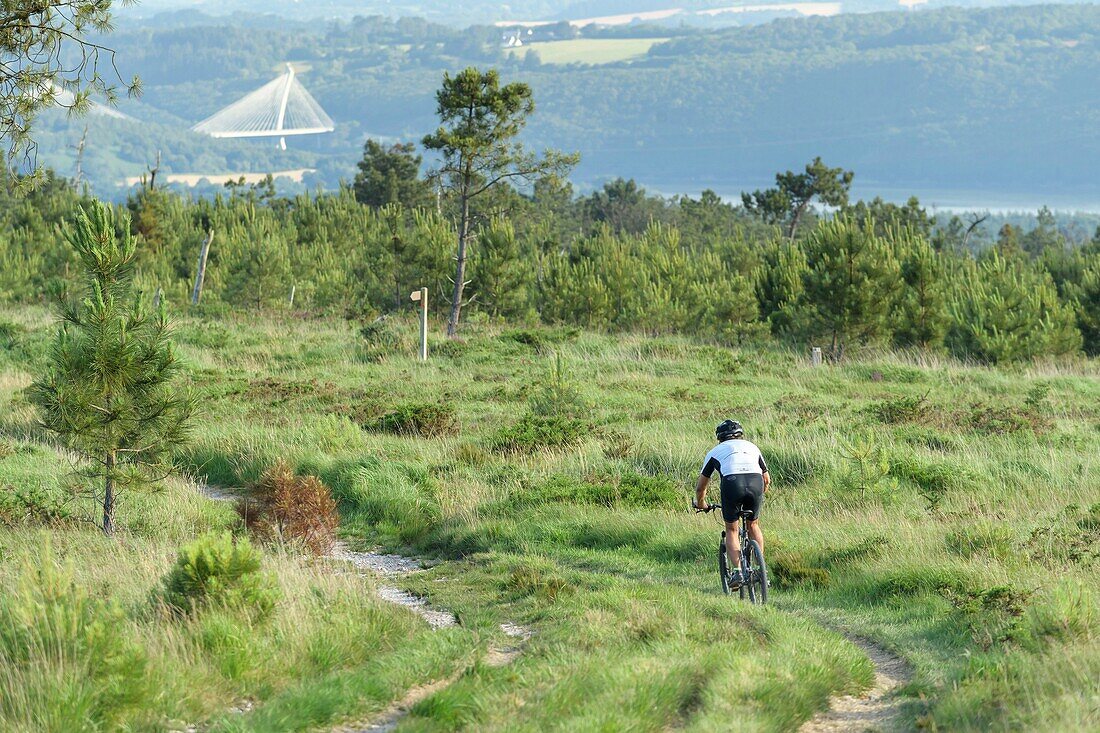 France,Finistere,Dineault,Mountain bike on the paths of Menez Hom