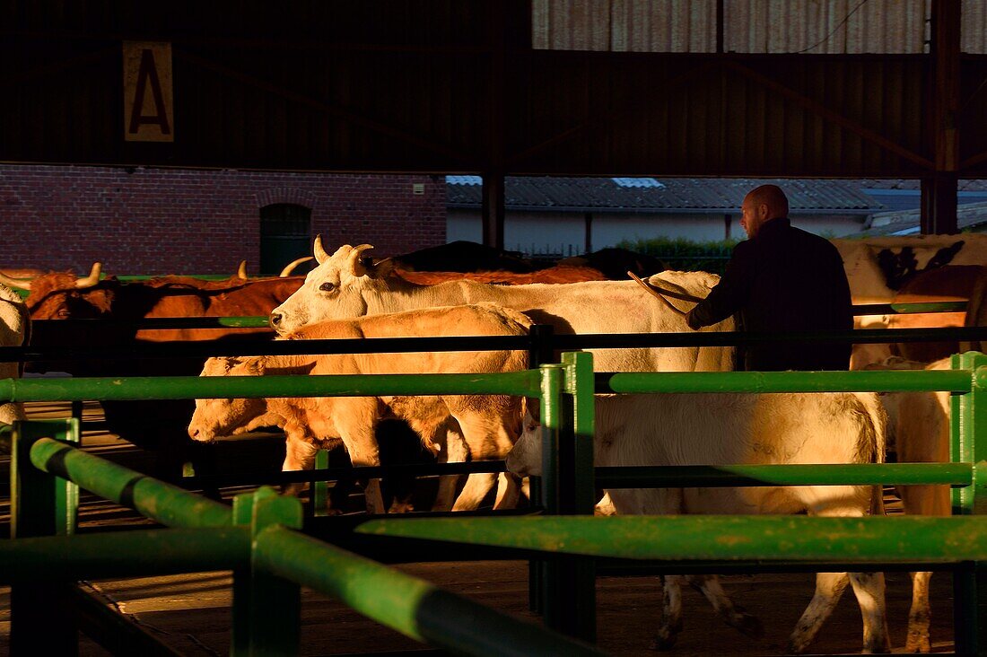 France,Seine Maritime,Forges les eaux,livestock market (mainly cows)