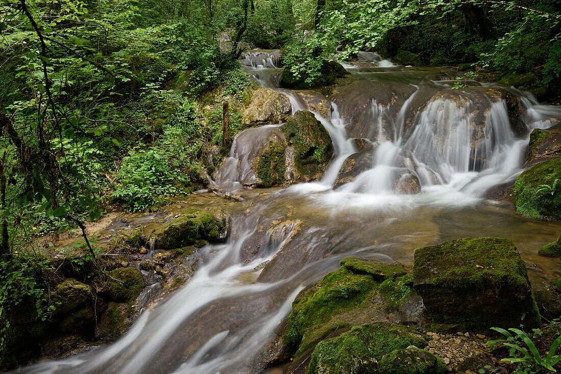 France,Doubs,Mouthier Haute Pierre,Tivoli site,Sytatu waterfall,lower part