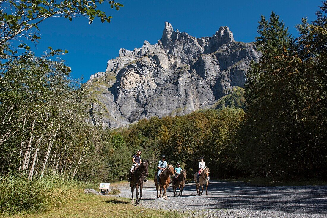 Frankreich,Haute Savoie,Sixt Fer a Cheval,Pferdetrekking im Circus du Fer a Cheval gegen Ende der Welt und der Berg der Hörner von Chamois (2562m)