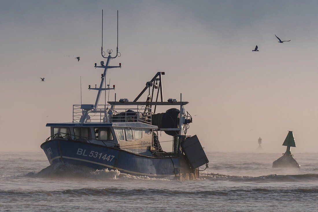 Frankreich,Somme,Baie de Somme,Le Hourdel,Trawler in der Baie de Somme nahe dem Hafen von Le Hourdel