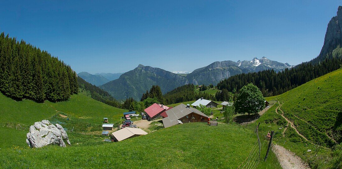 France,Haute Savoie,Bornes massif,Glieres plateau,hiking to the rock Parnal,panoramic view of the hamlet of Mouilles and Bargy massif