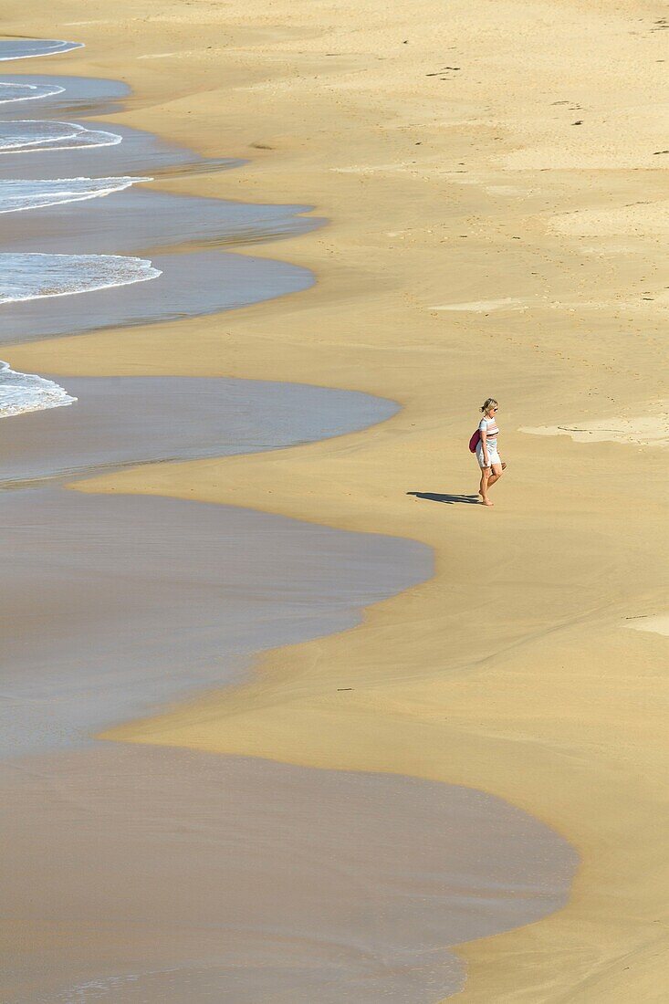 France,Morbihan,Houat,Southeast coast,the beach of Treac'h Salus