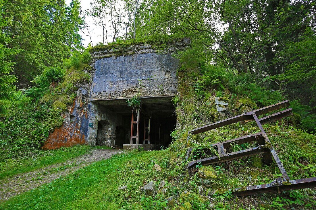 Frankreich,Haut Rhin,Rundweg der Tête de Faux,Ehemalige Ankunftsstation der deutschen Luftseilbahn, die das Dorf Lapoutroie (425 m ü.d.M.) mit diesem Ort (1100 m ü.d.M.) auf mehr als 3 km verband,Von dort führte eine Standseilbahn zum Gipfel der Tete des Faux.