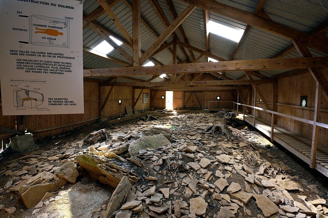 Frankreich,Haute Saone,Aillevans,Dolmen des Bois de Blusseret,Kollektivgrab aus dem Neolithikum