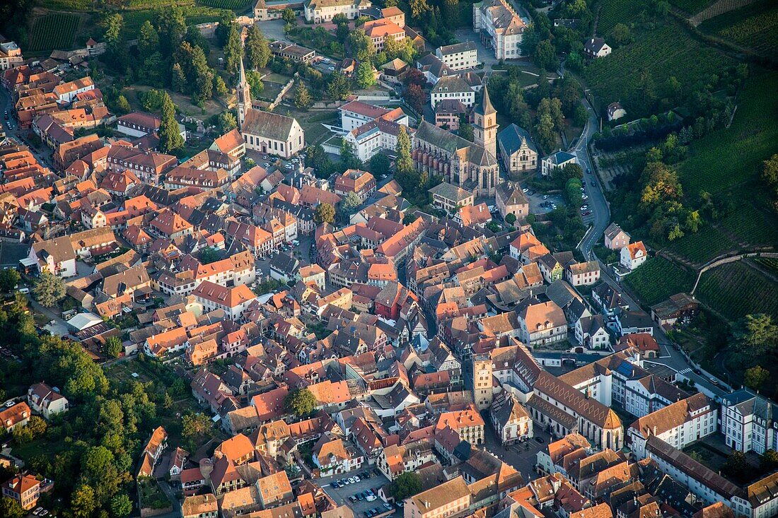 Frankreich,Haut Rhin,Elsässer Weinstraße,Ribeauville,Weinreben (Luftaufnahme)