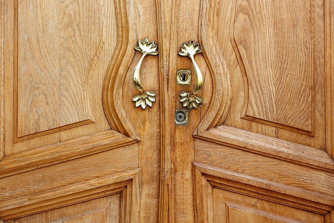 France,Meurthe et Moselle,Nancy,detail of door in Art Nouveau style