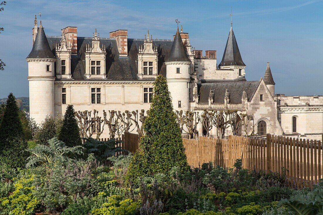 Frankreich,Indre et Loire,Loire-Tal, das von der UNESCO zum Weltkulturerbe erklärt wurde,Amboise,Schloss Amboise,das Schloss von Amboise mit Innenhof und Garten