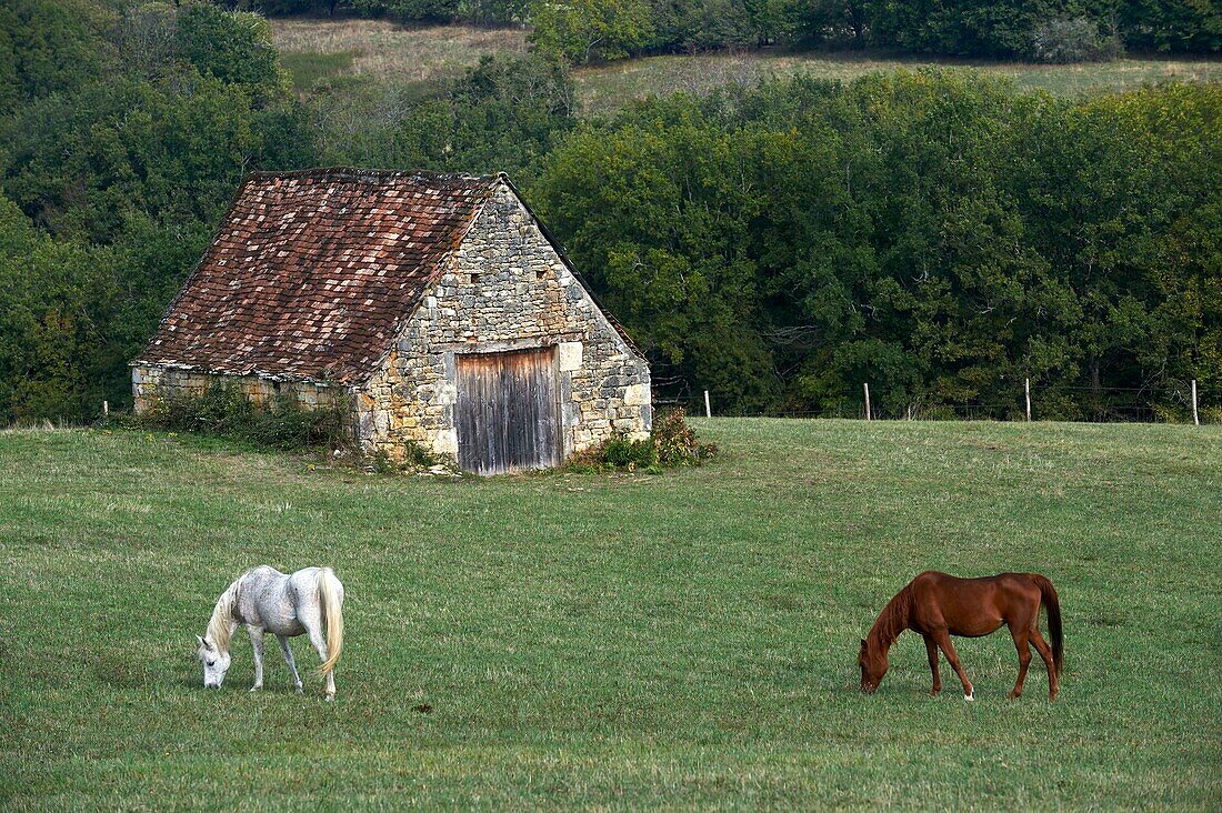 France,Lot,Masclat,landscape of the Lot towards the village of Masclat