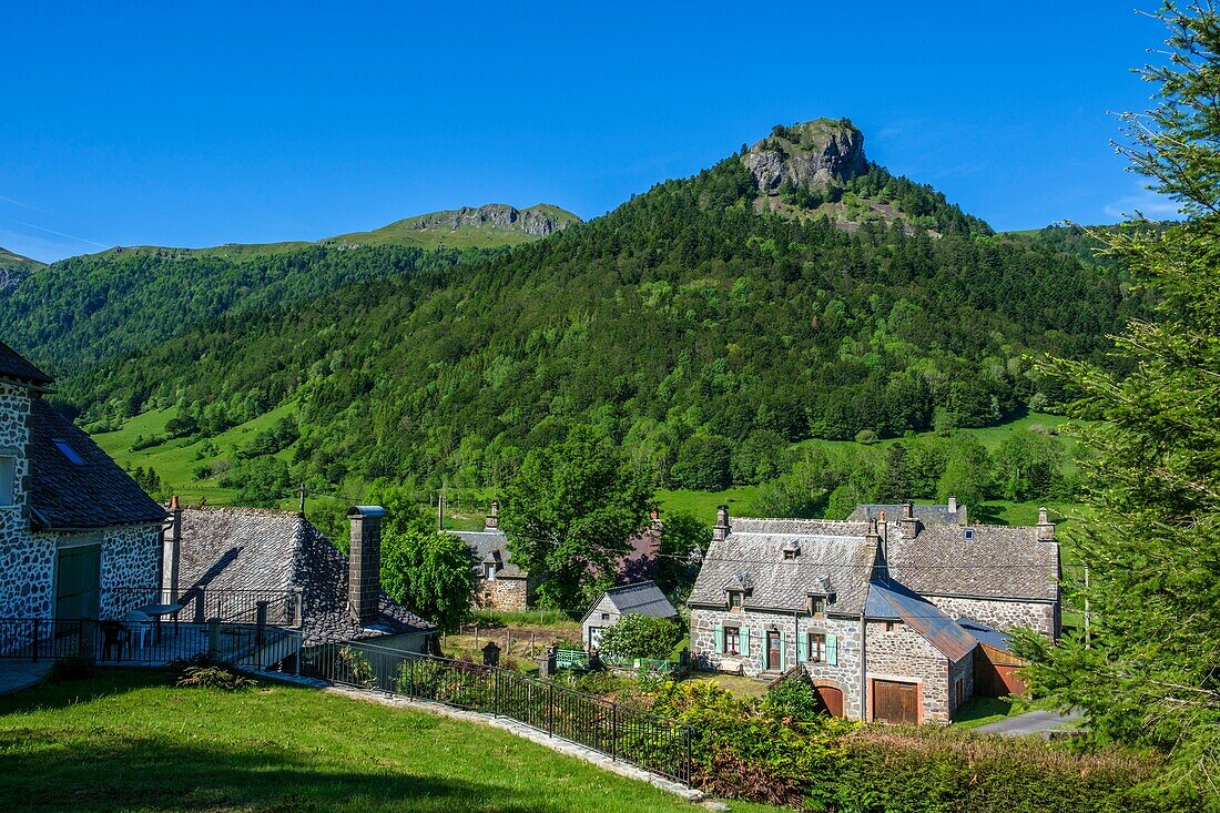 Frankreich,Cantal,Regionaler Naturpark der Vulkane der Auvergne,monts du Cantal,Cantal-Berge,Mars-Tal,Le Falgoux,Weiler La Chaze