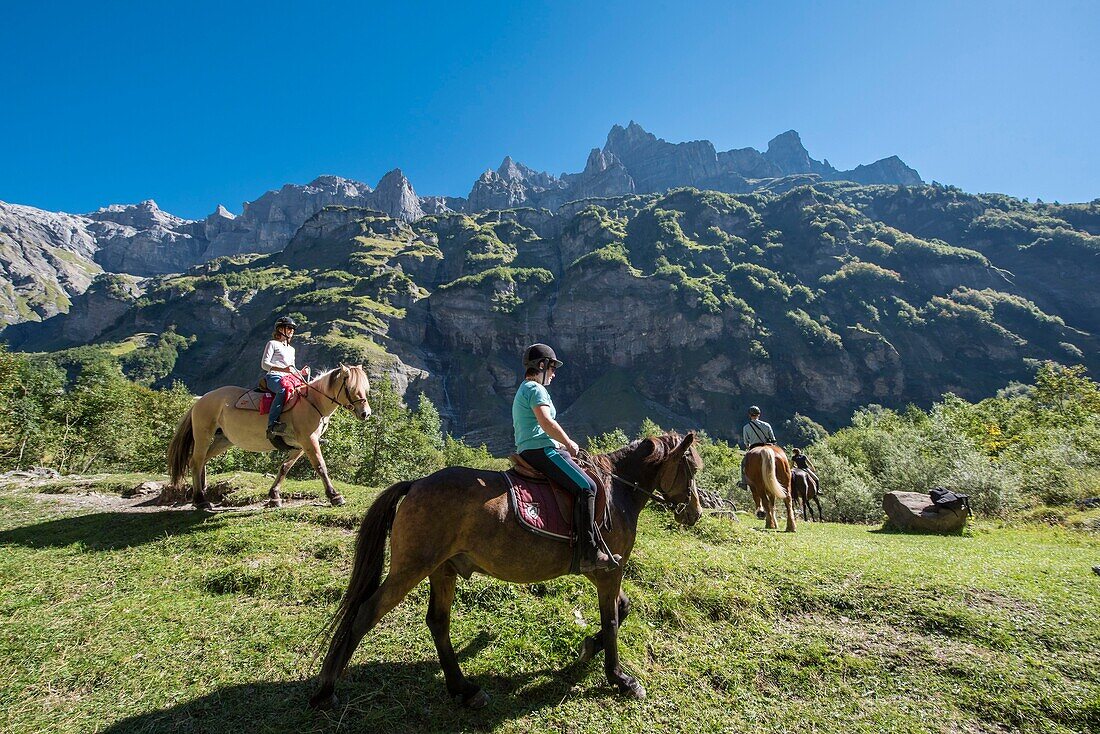 France,Haute Savoie,Sixt Fer a Cheval,equestrian trekking in the Circus du Fer a Cheval towards the end of the World and the mountain of Horns of Chamois (2562m)
