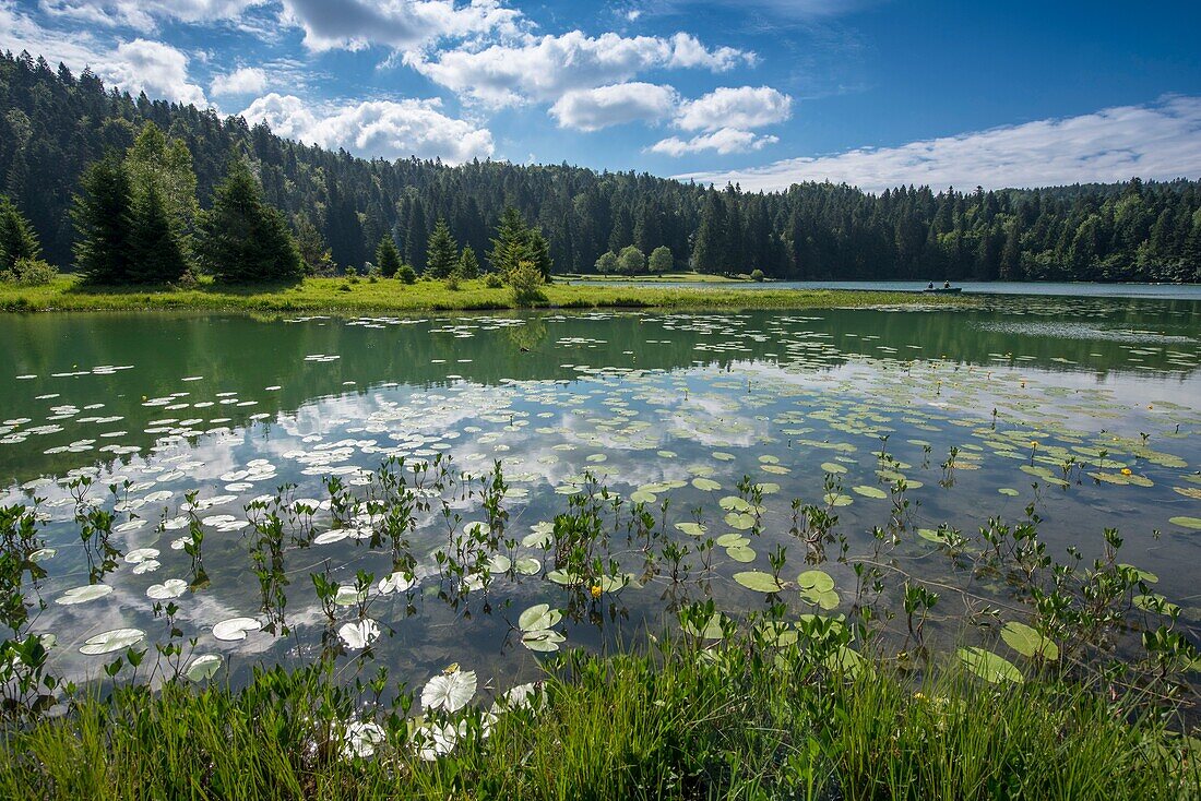 France,Ain,Oyonnax,Lake Genin,a natural jewel in the town of Charix in the Jura mountains