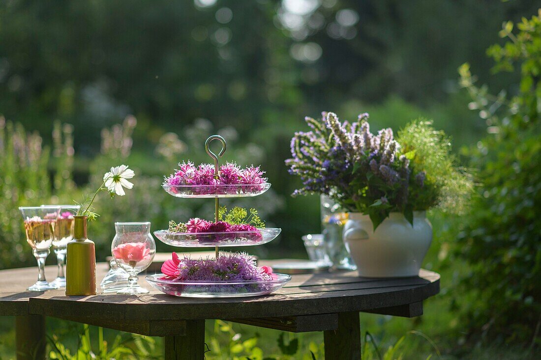 Frankreich,Morbihan,der Garten der Stunden im Freien, der Führungen und Verkostungen von Blumen anbietet