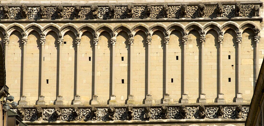 Frankreich,Cote d'Or,Dijon,Weltkulturerbe der UNESCO,Kirche Notre Dame,Wasserspeier