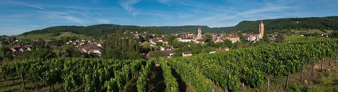 France,Jura,Arbois,panoramic view of the city in its setting vineyard