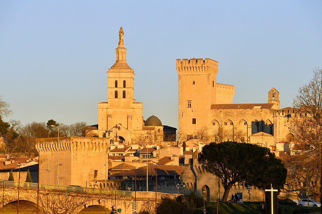 Frankreich,Vaucluse,Avignon,die Kathedrale von Doms aus dem 12. Jahrhundert und der Papstpalast als UNESCO-Welterbe