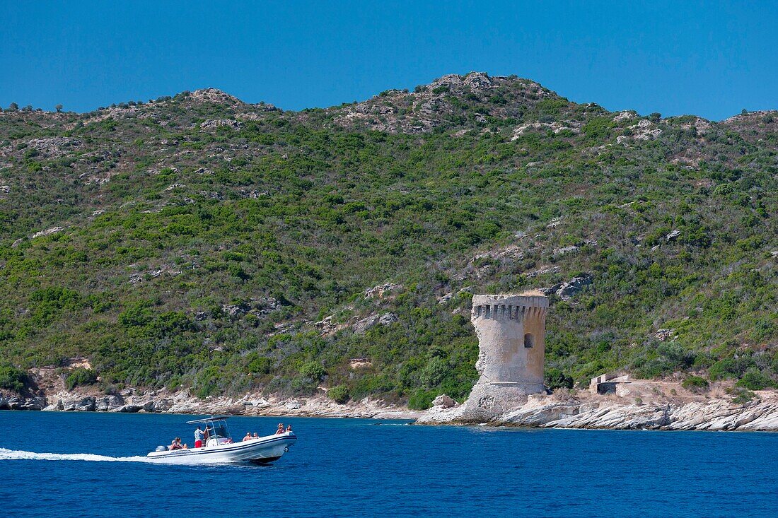 France,Haute Corse,Agriates desert,Gulf of Saint Florent,Mortella tower