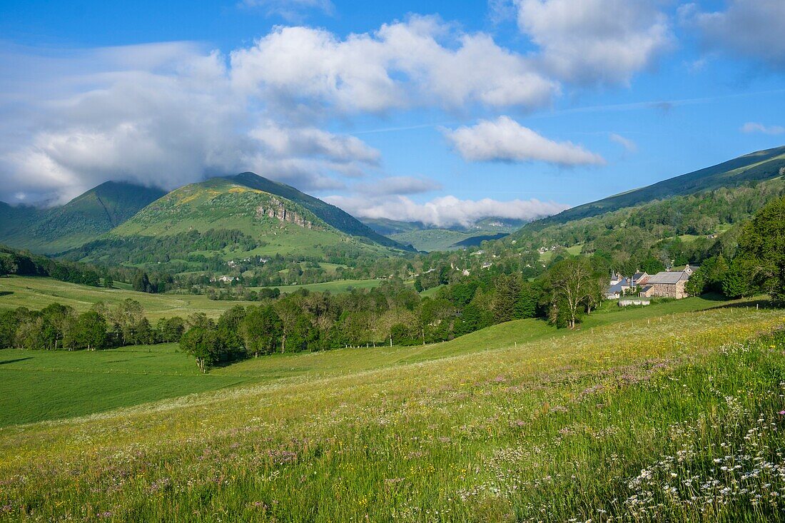 France,Cantal,Regional Natural Park of the Auvergne Volcanoes,monts du Cantal (Cantal mounts),Santoire valley
