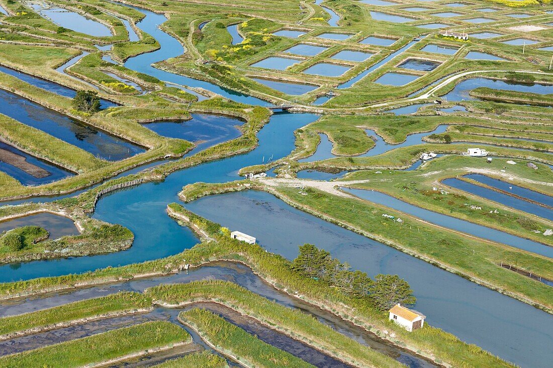 France,Charente Maritime,Ile d'Oleron,Saint Pierre d'Oleron,Les Salines marshes (aerial view)