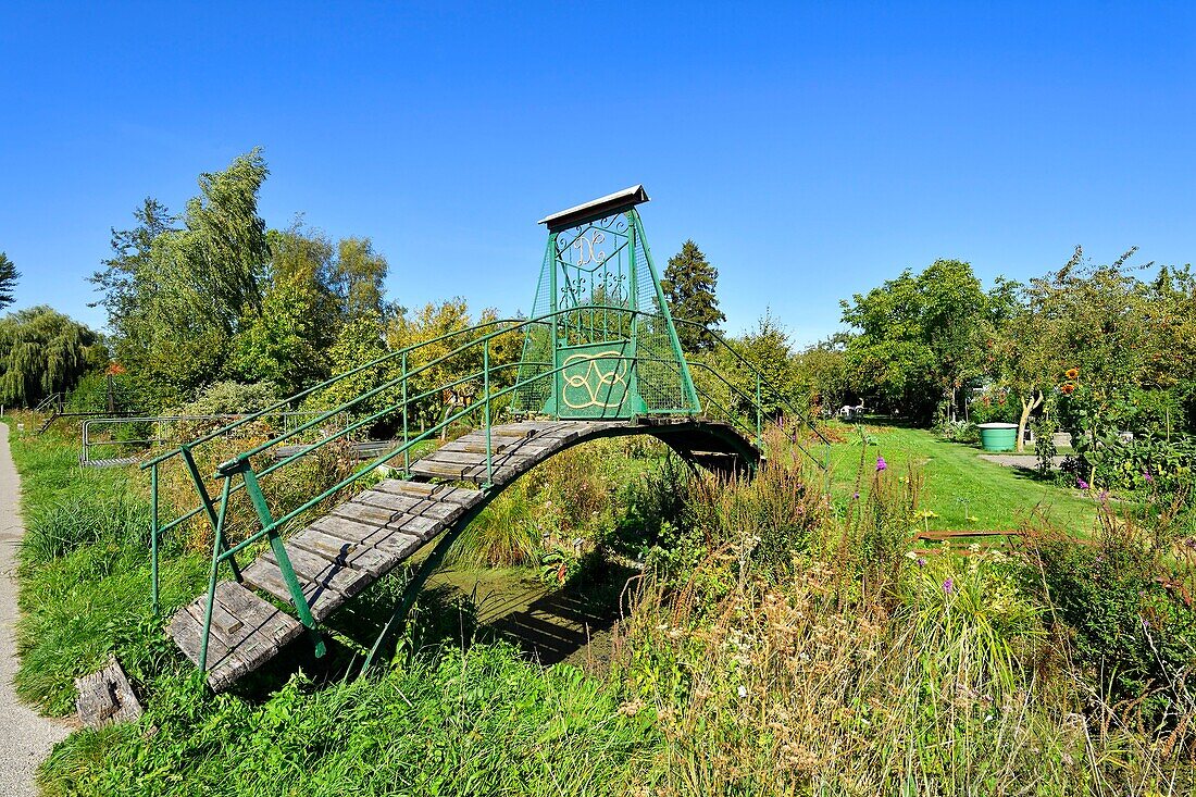 Frankreich,Somme,Amiens,die Hortillonnages sind alte Sümpfe, die aufgefüllt wurden, um ein Mosaik von schwimmenden Gärten zu schaffen, die von Kanälen umgeben sind