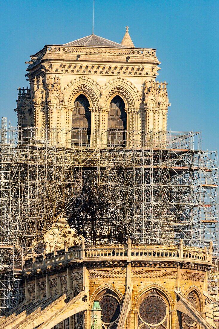 Frankreich,Paris,Weltkulturerbe der UNESCO,Ile de la Cite,Kathedrale Notre Dame,Gerüstbau