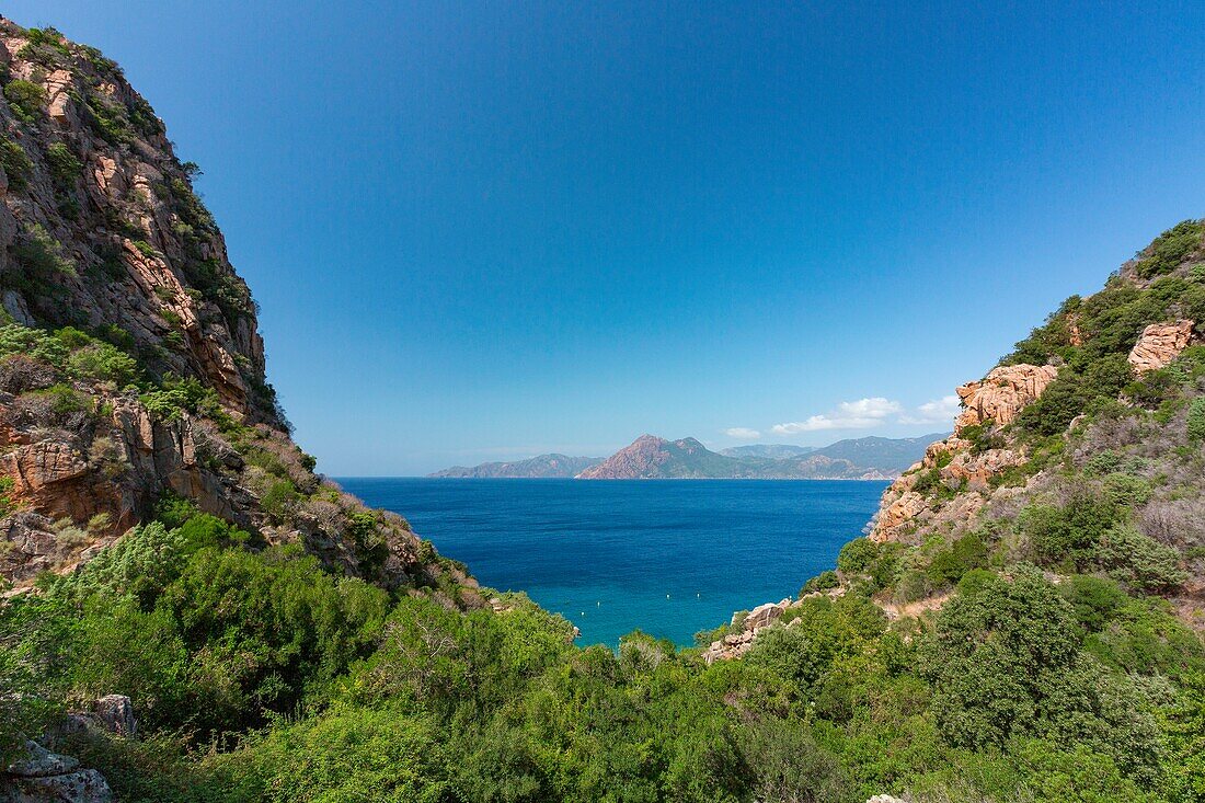 France,Corse du Sud,Gulf of Porto,Capo Rosso,Anse de Ficajola and the Scandola reserve in the background